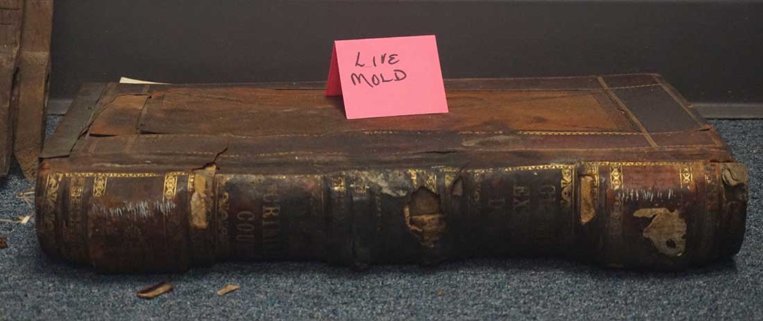 Live mold in historic records